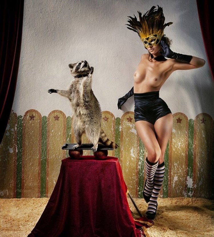 Expectation in the circus