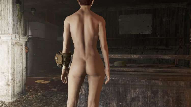 Fallout New Vegas Mod on naked
