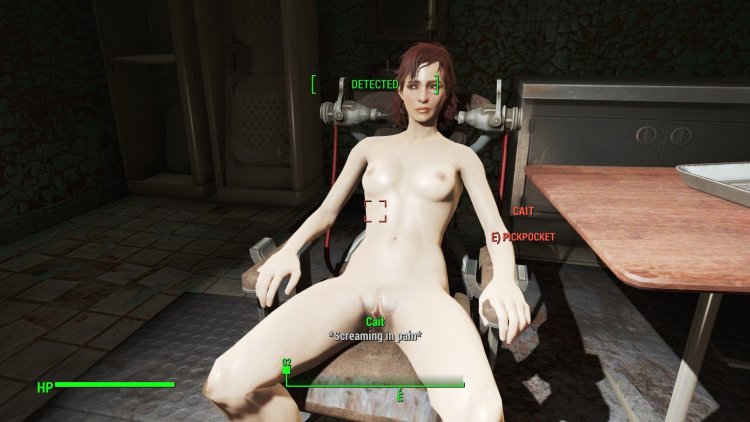 Fallout 4 PS 4 Erotic mods