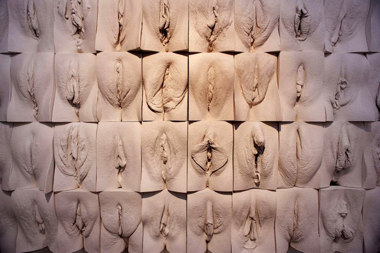 The Great Wall of Vagina Jamie McCartney