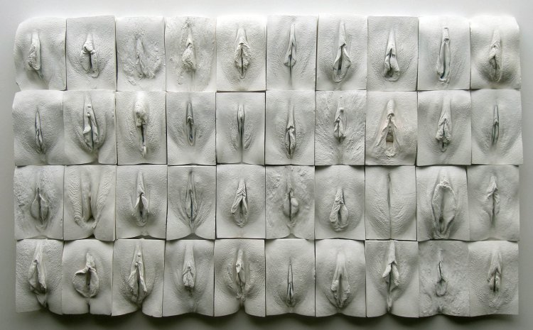 Women's pussy close -up