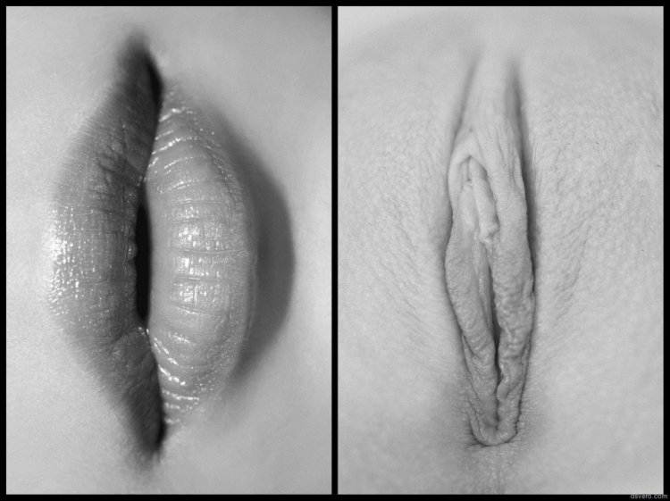 Forms of female vagina