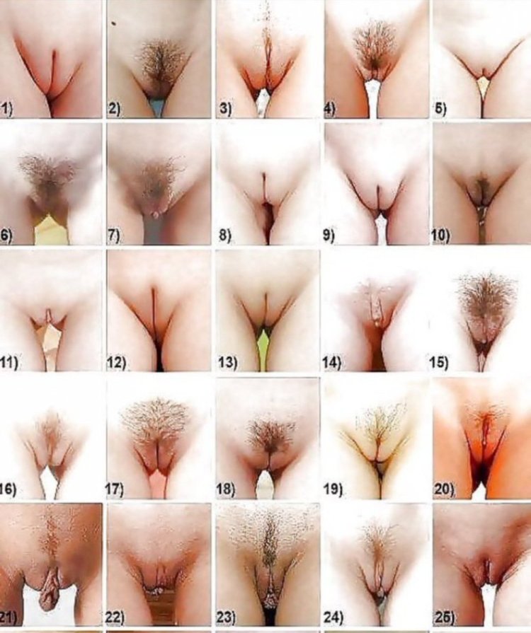 The Great Wall of Vagina Jamie McCartney