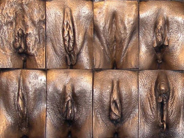 Anatomy of the female vagina
