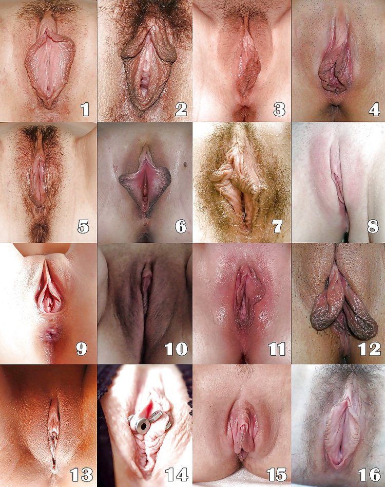 The most ideal form of vagina