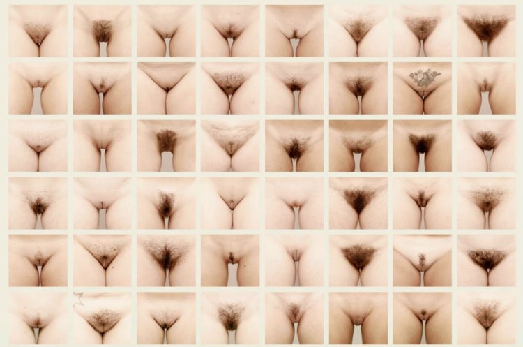 Vagina location in women