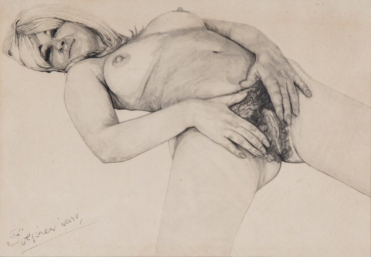 Pornographic drawings