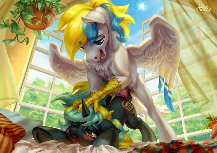 MLP P34