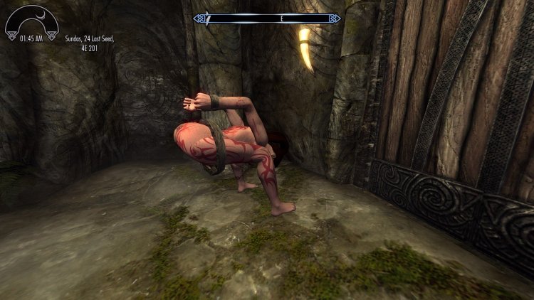 Skyrim SexLab animation