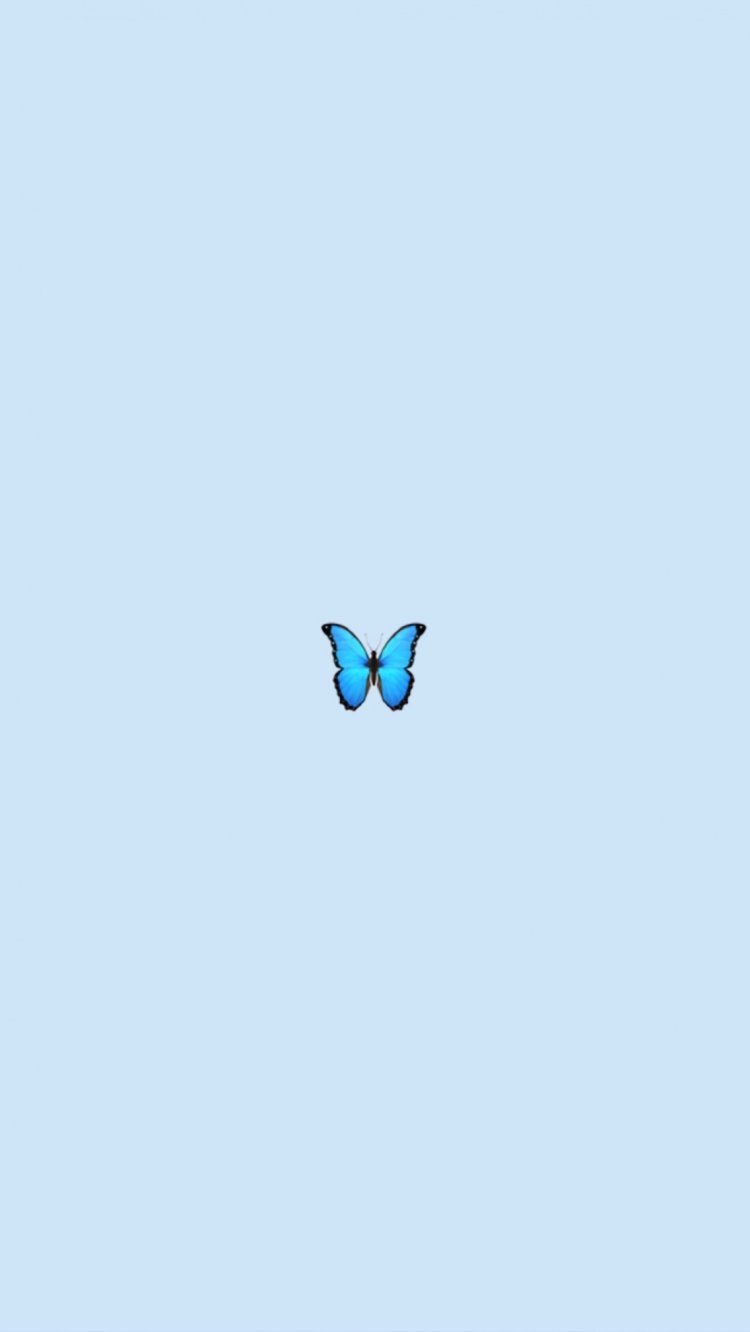 Amber Hurrd merged