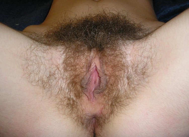 Close -up