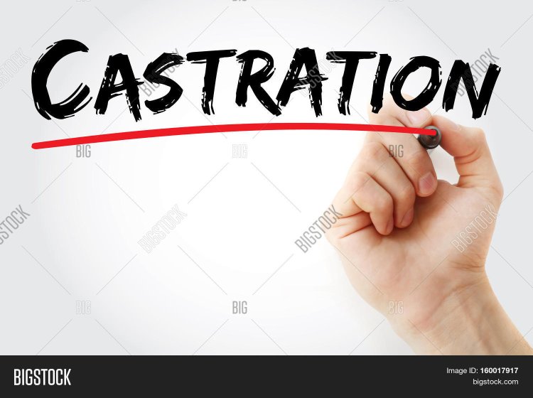 Castration subtitles in Russian