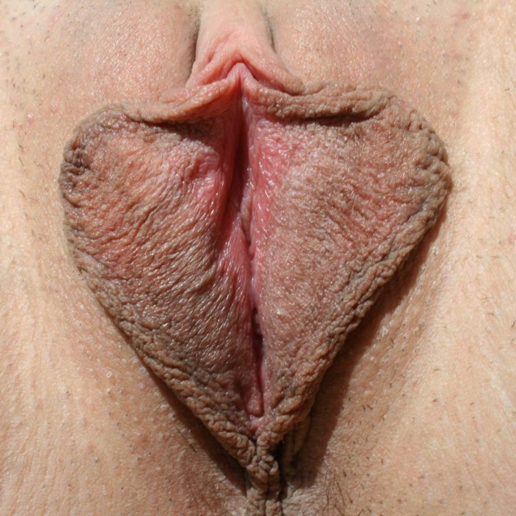 The most beautiful labia lips