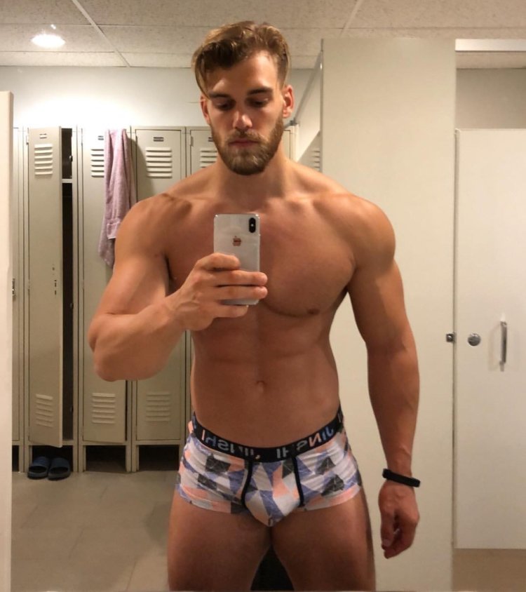 The Dieux du Stade