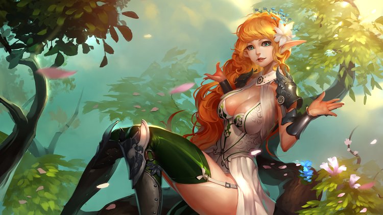 Anime elf