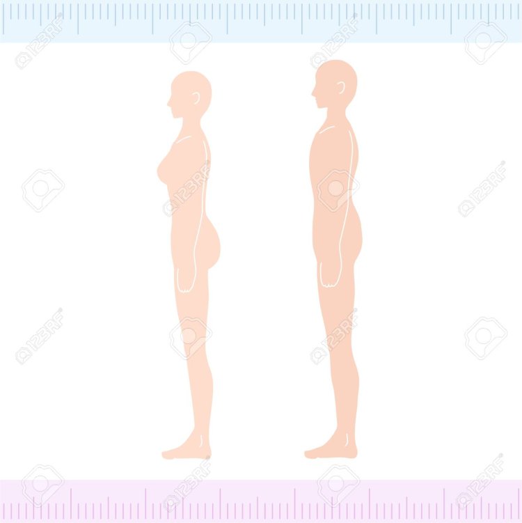 Heart Stress Test Cardiac Arrest Female Fetish