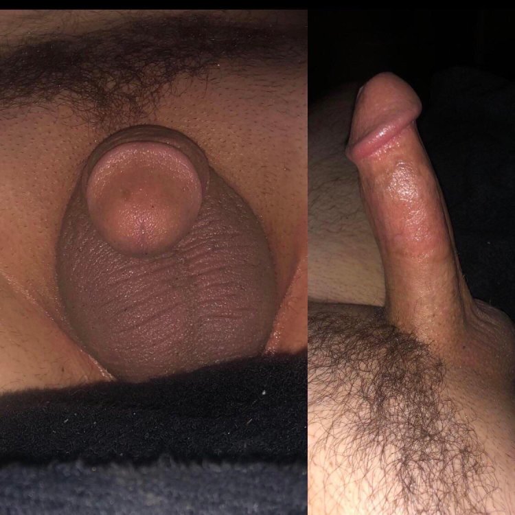 Pornstarks at the competition