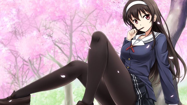Anime Saenai Heroine No Sodatekata