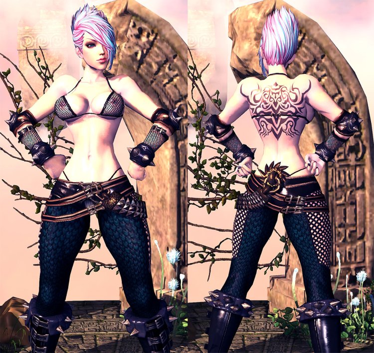 Blade and Soul Mods