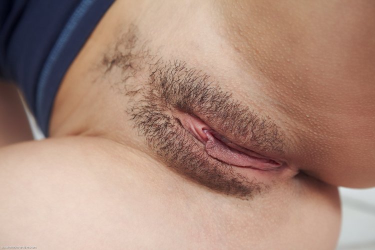 Beautiful hairy vaginas