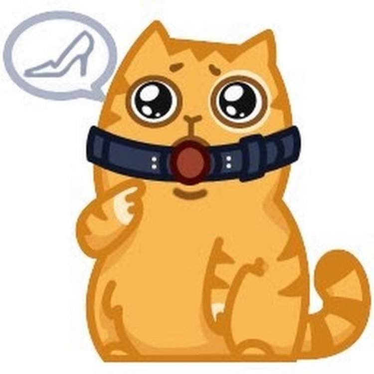 Cat Persik