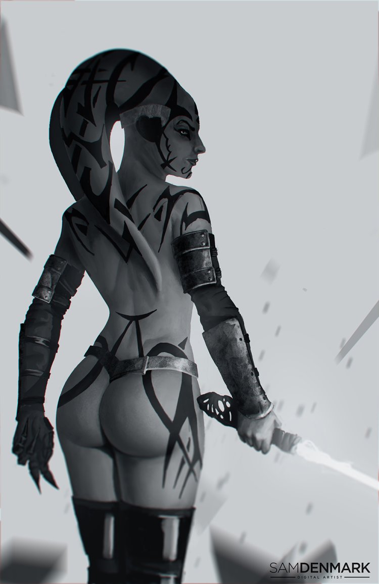 Star Wars Ero Art