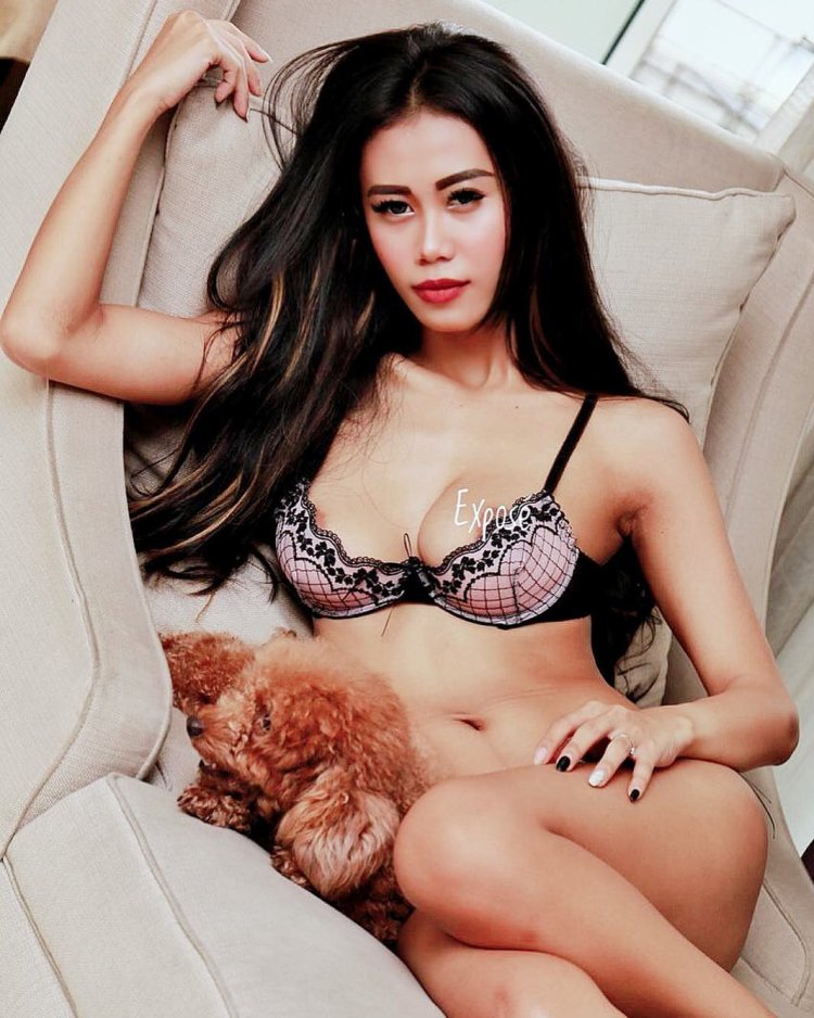 Amelia Hot