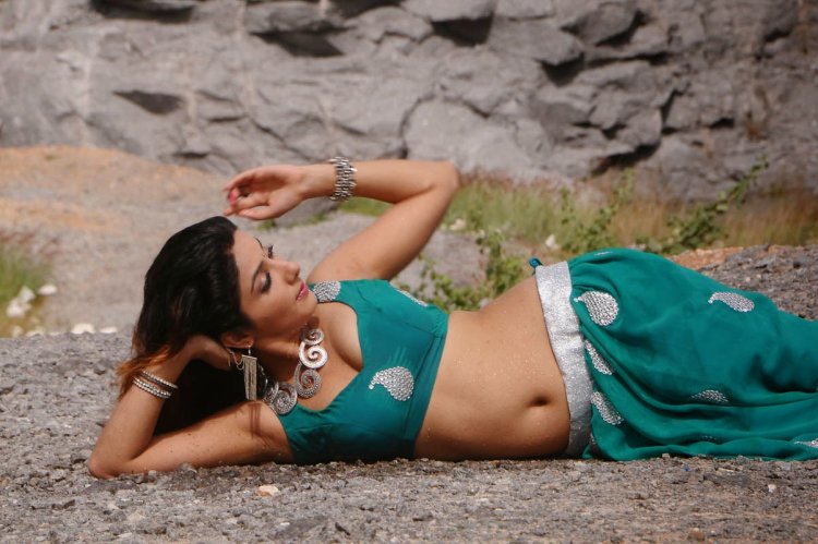 Indian Actress Sanjana Sanghi in Saree