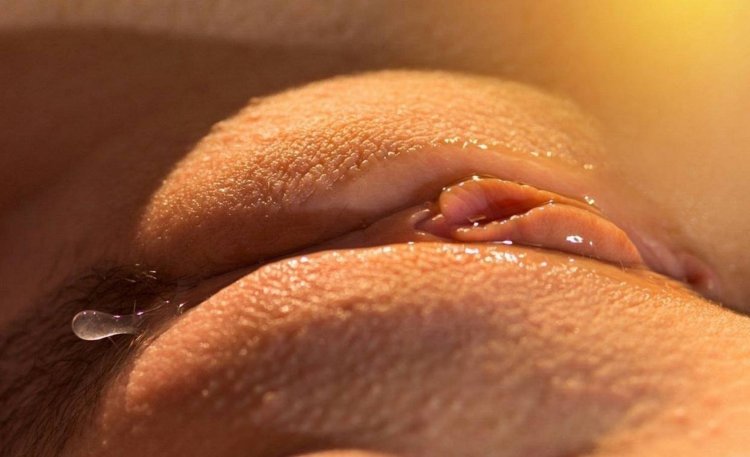 Women's pussies close -up