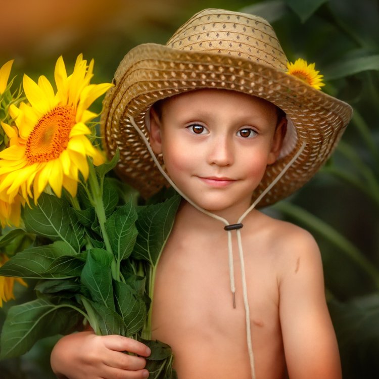 Boy in sunflowers