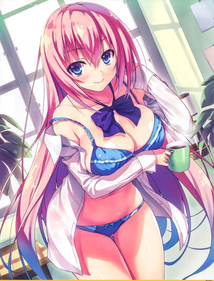 Anime Youkoso Jitsuryoku Shijou