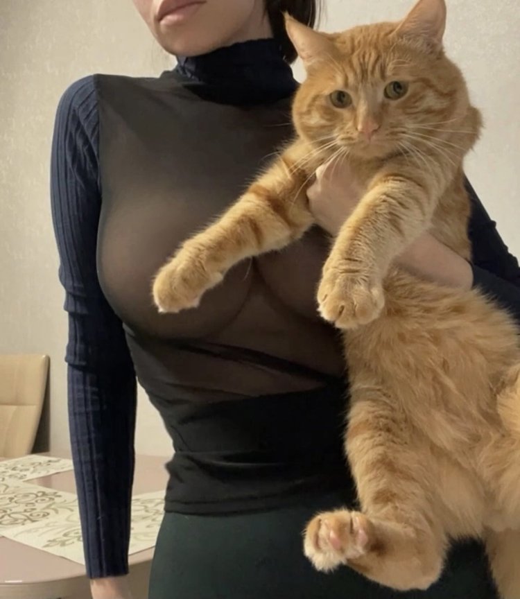 The cat is censored