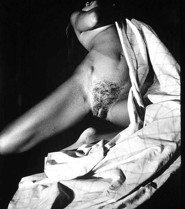 Vanessa Williams Penthouse 1984