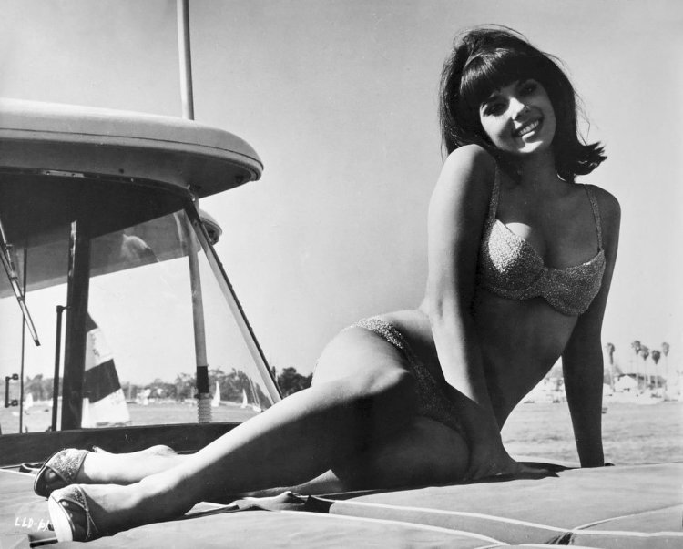 Jo Collins, Miss December 1964