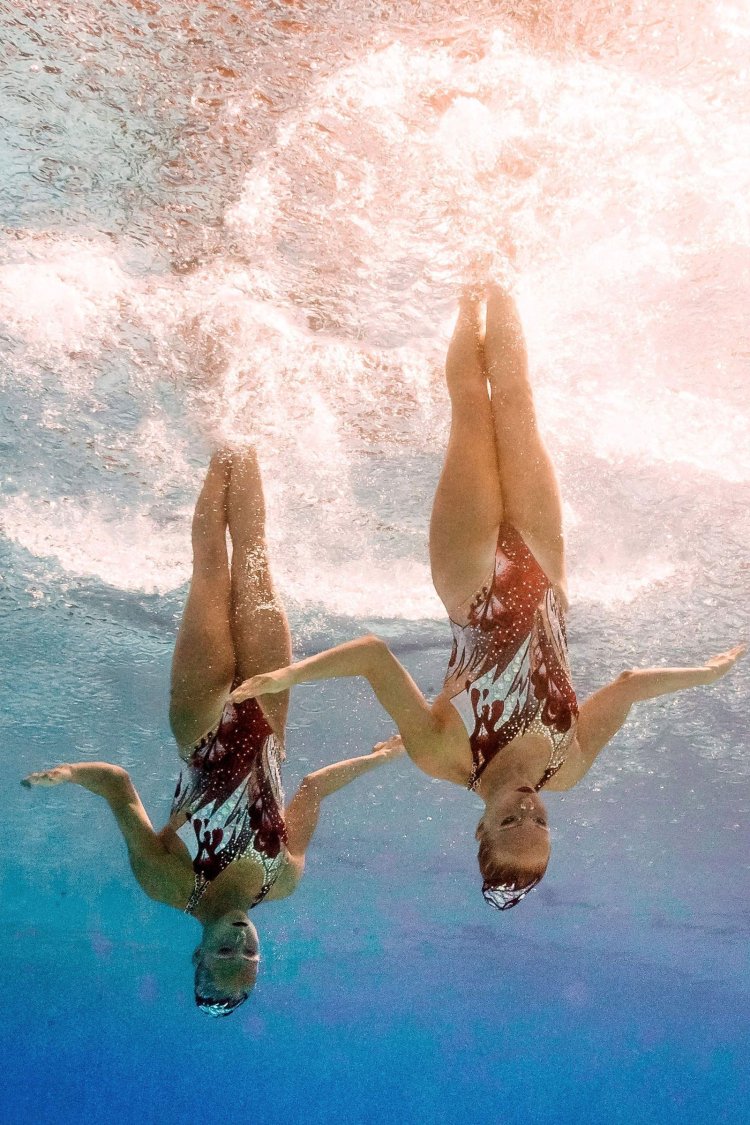 DME ELIDA Olimpijskie Grenada Sauvage Lekhsky