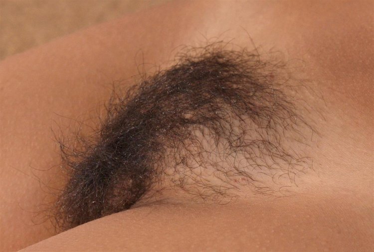 Beautiful large pubis