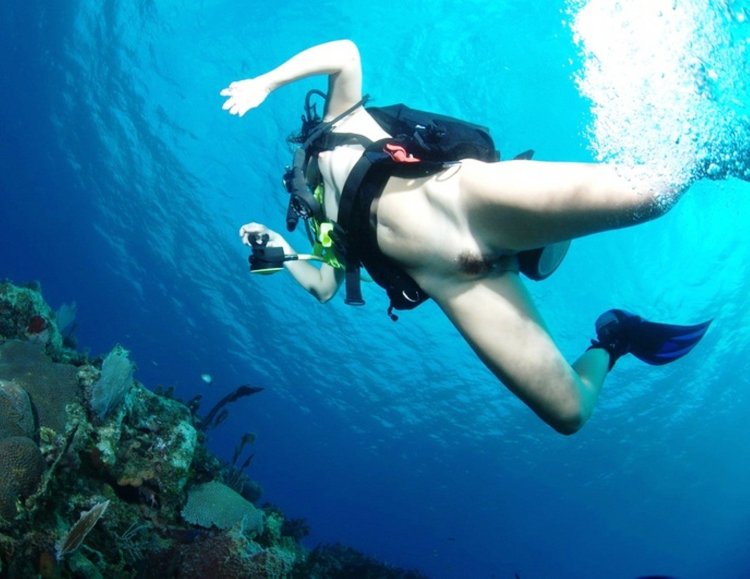 Dive with scuba nogish