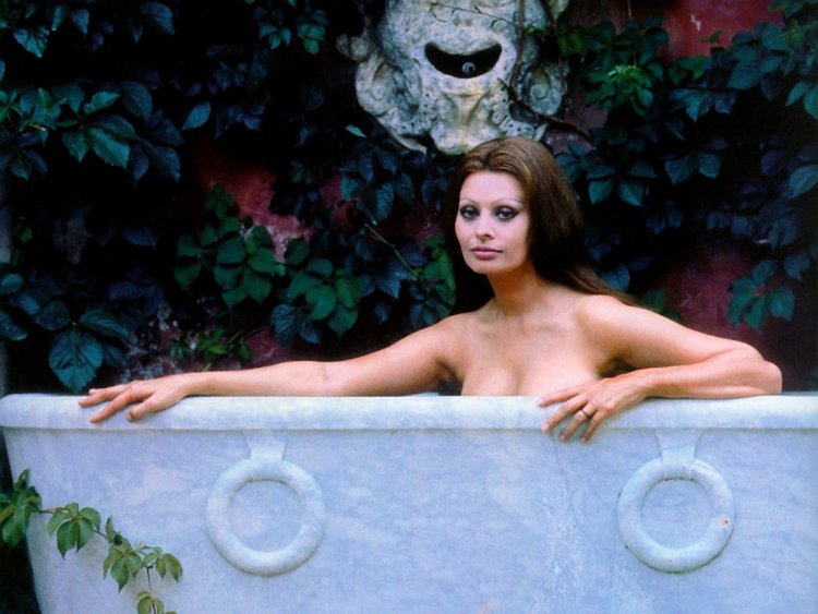 Hairy pussy Sophie Loren