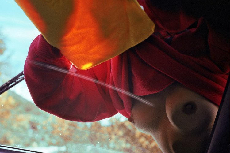 Willa Holland Leaked