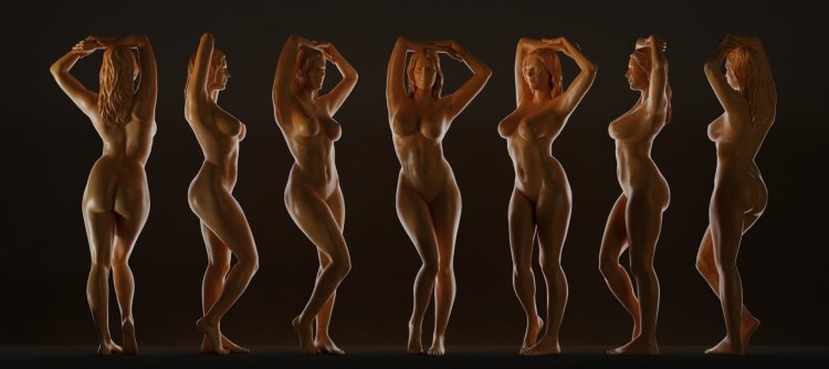 The bodies of a woman nude anatomy