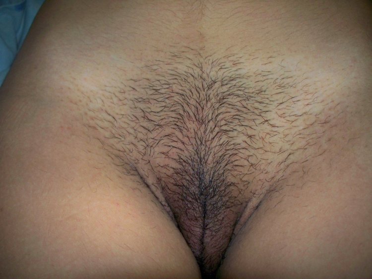 Close -up