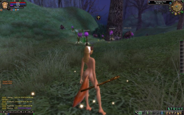 Games MMORPG erotic