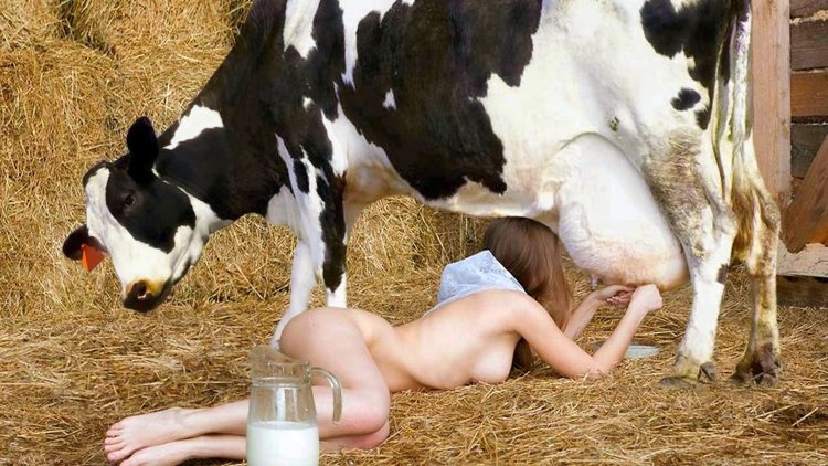 Photography of nude with cows