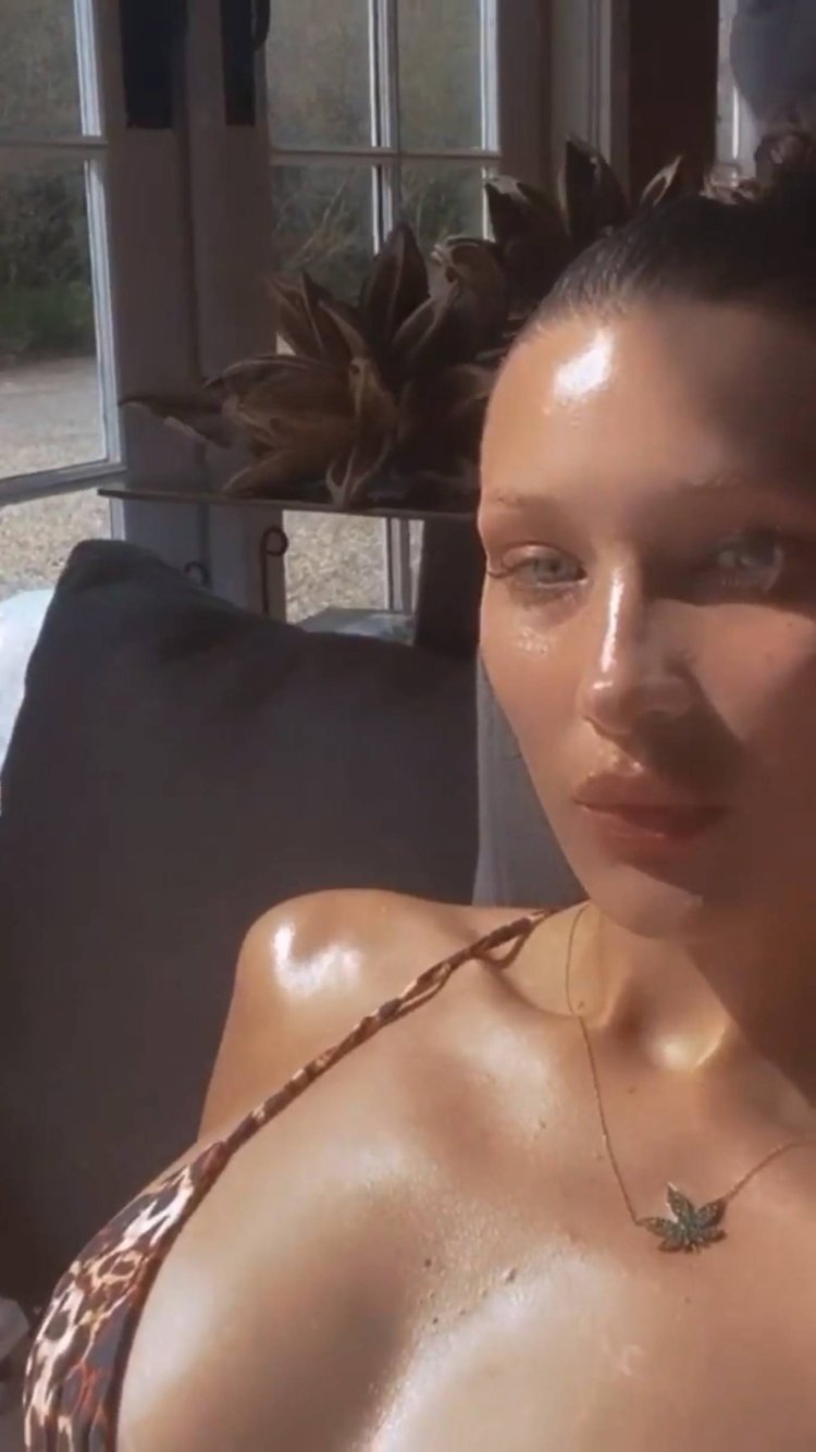 Bella Hadid Hackers