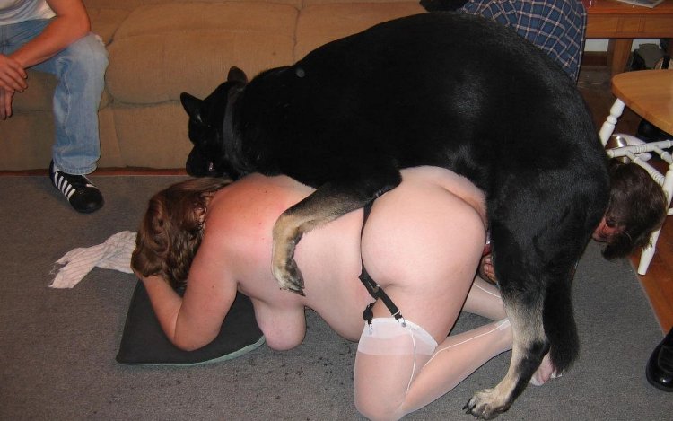 Fucking a pregnant woman with a dog