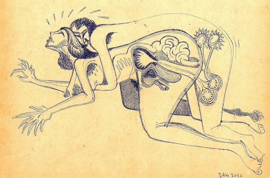 Erotic illustrations